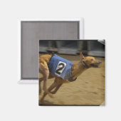Racing Greyhound Square Magnet (Voorkant / Achterkant)