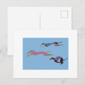 Racing Greyhounds with lead dog in Bunny suit Briefkaart (Voorkant / Achterkant)