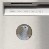Racing Homer Magnet (Insitu (Vaatwasser))