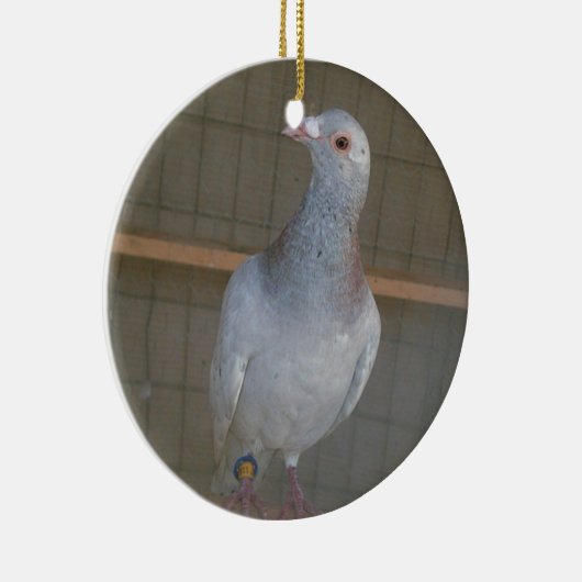 Racing Homer Ornament (Rechts)