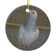 Racing Homer Ornament