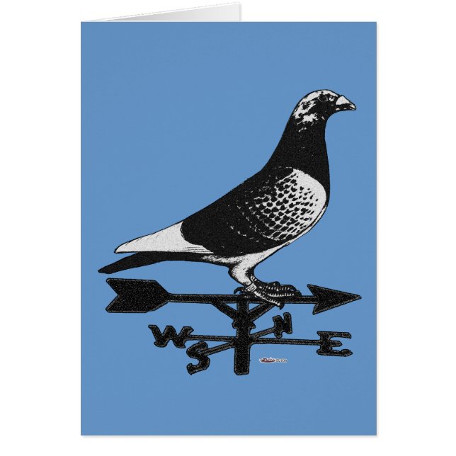 Racing Homer: Weathervane Homer (Voorkant)