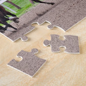 Racing naar de finse lijn in Saratoga Legpuzzel (Zijkant)