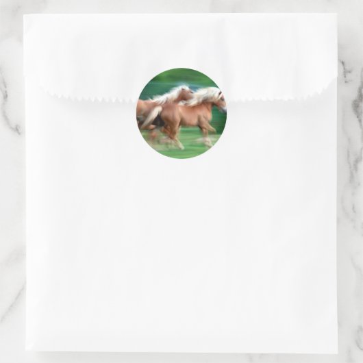 Racing Palomino Horses Sticker (Tas)