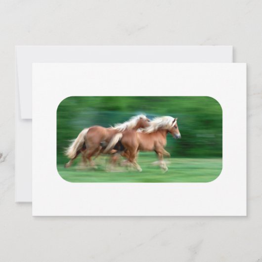 Racing Palomino Kaart (Voorkant)