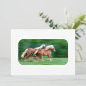 Racing Palomino Kaart (Staand voorkant)