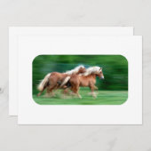 Racing Palomino Kaart (Voorkant / Achterkant)