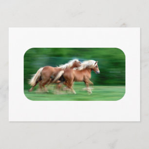 Racing Palomino Kaart