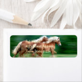 Racing Palomino retour adres label (Insitu)