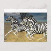 Racing Stripes - Zebra Briefkaart (Voorkant)