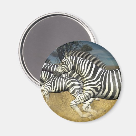 Racing Stripes - Zebra Magneet (Voorkant / Achterkant)