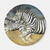 Racing Stripes - Zebra Magneet (Voorkant)
