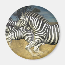 Racing Stripes - Zebra Magneet