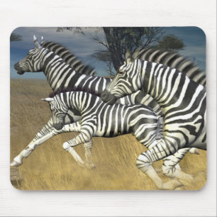 Racing Stripes - Zebra Muismat