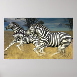 Racing Stripes - Zebraafdrukken Poster