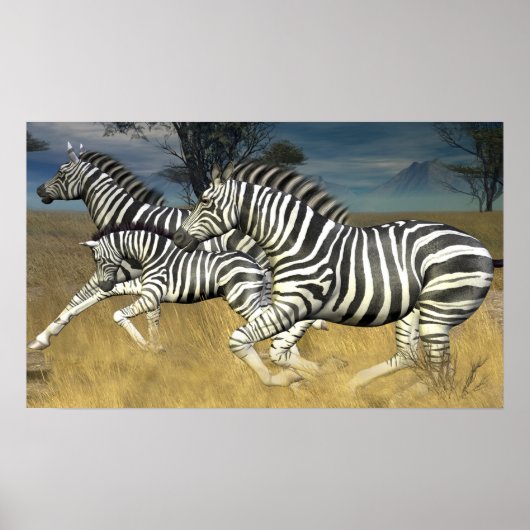 Racing Stripes - Zebraafdrukken Poster (Voorkant)