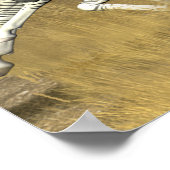 Racing Stripes - Zebraafdrukken Poster (Hoek)