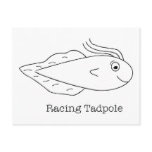 Racing Tadpole