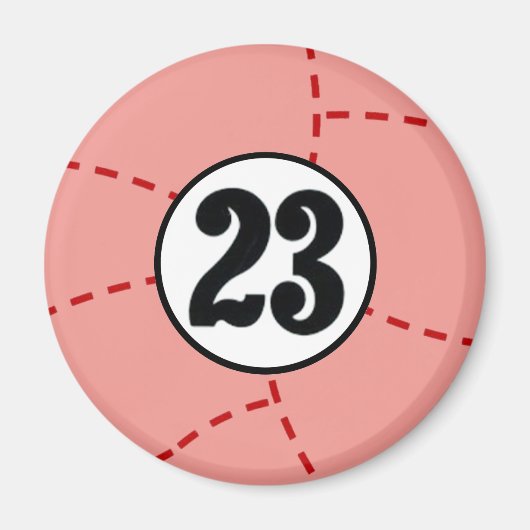 RACING VAN 1971 MAGNEET (Voorkant)