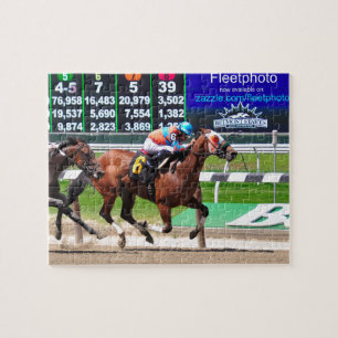 Racing van Beauful Belmont Park Legpuzzel