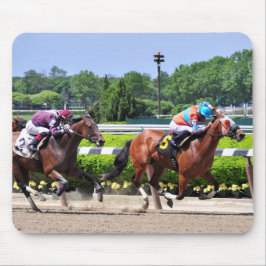 Racing van Beauful Belmont Park Muismat