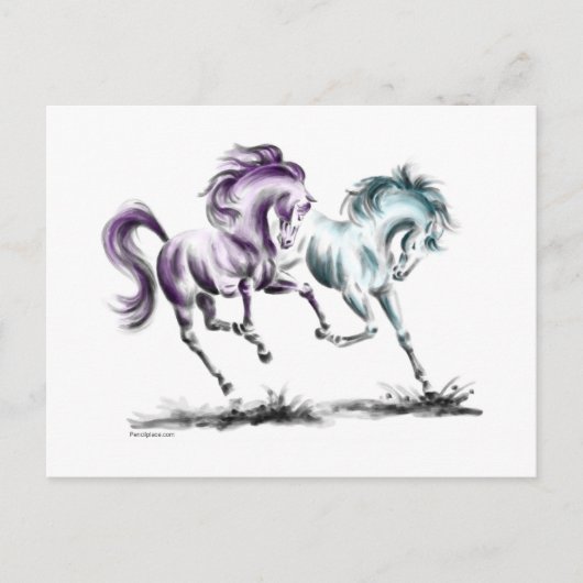 Racing van wilde paarden briefkaart (Voorkant)