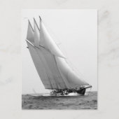 Racing Yacht Atlantic, 1904 Briefkaart (Voorkant)
