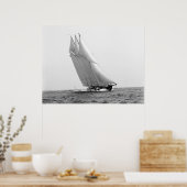 Racing Yacht Atlantic: 1904 Poster (Keuken)