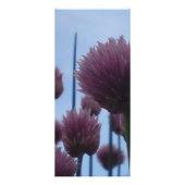 Rack Kaart - Chives Afbeelding 1 (Voorkant)