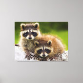 Racons Canvas Afdruk (Voorkant)