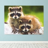 Racons Canvas Afdruk (Insitu (Houten vloer))