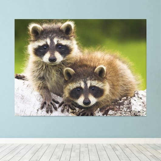 Racons Canvas Afdruk (Insitu (Houten vloer))