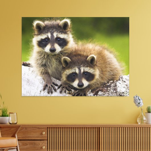 Racons Canvas Afdruk (Insitu (Woonkamer))