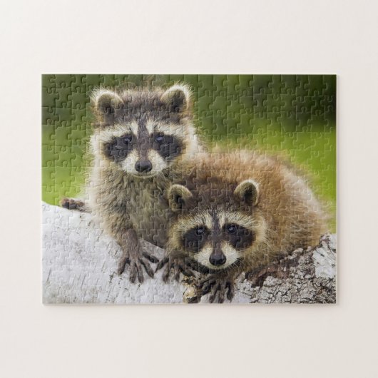 Racons Legpuzzel (Horizontaal)