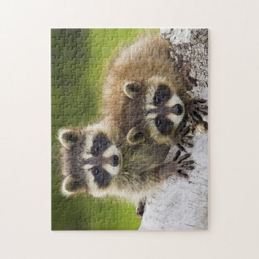 Racons Legpuzzel (Verticaal)