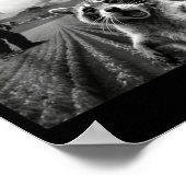 Racoon Bigfoot Selfie Ufo Funny Racoon Alien Bigfo Poster (Hoek)