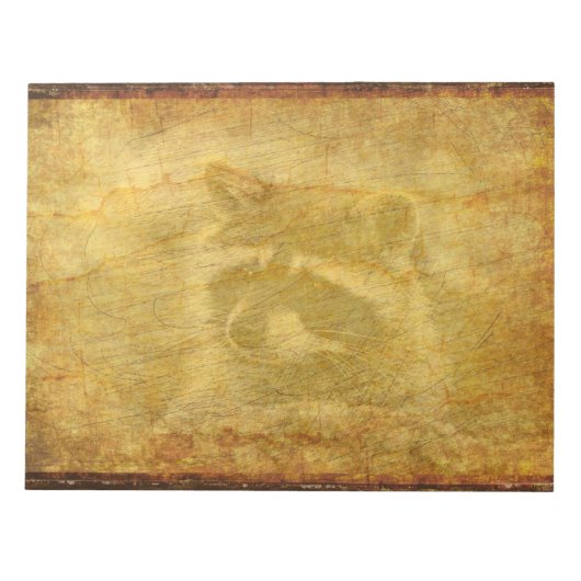 Racoon Faded Vintage Notitieblok (Voorkant)