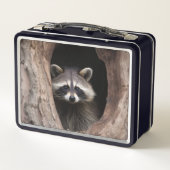 Racoon in boomgrot (Achterkant)