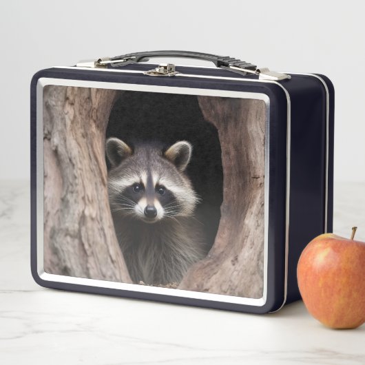 Racoon in boomgrot (In situ)