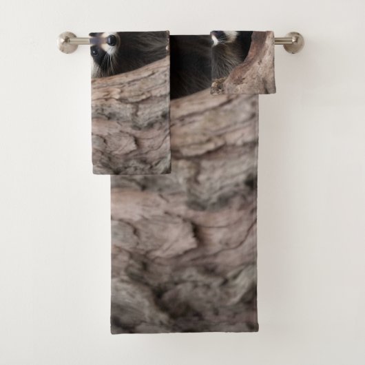Racoon in boomgrot bad handdoek (Insitu)