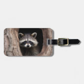 Racoon in boomgrot bagagelabel (Voorkant horizontaal)