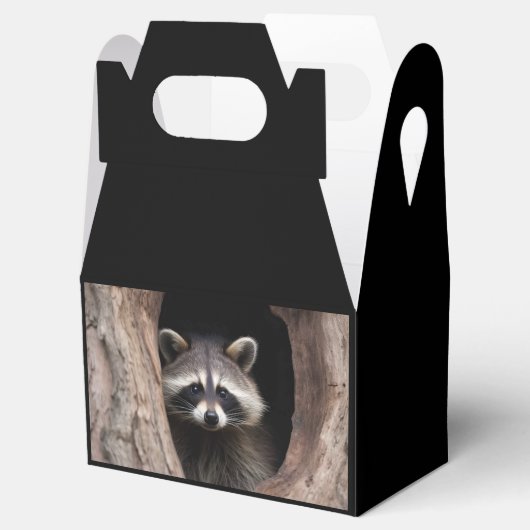 Racoon in boomgrot bedankdoosjes (Geopend)