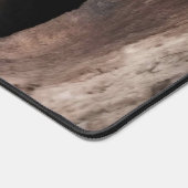 Racoon in boomgrot bureaumat (Hoek)