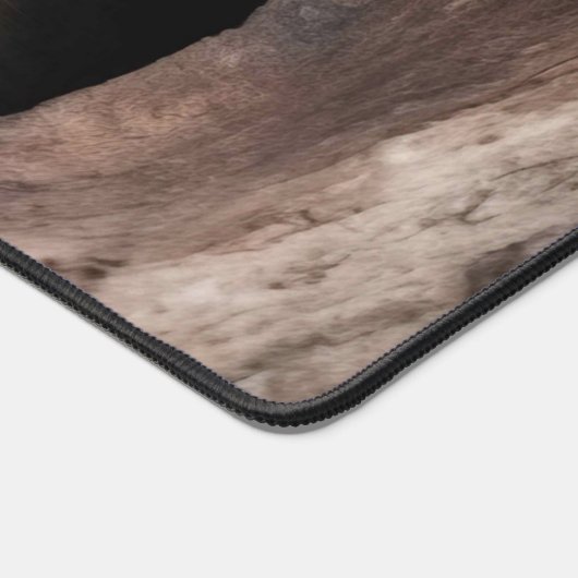 Racoon in boomgrot bureaumat (Hoek)