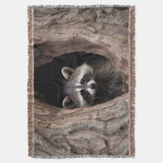 Racoon in boomgrot deken (Voorkant Verticaal)