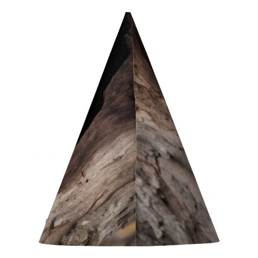 Racoon in boomgrot feesthoedjes (Achterkant)