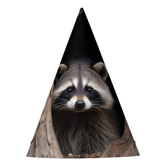 Racoon in boomgrot feesthoedjes (Voorkant)