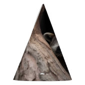 Racoon in boomgrot feesthoedjes (Links)