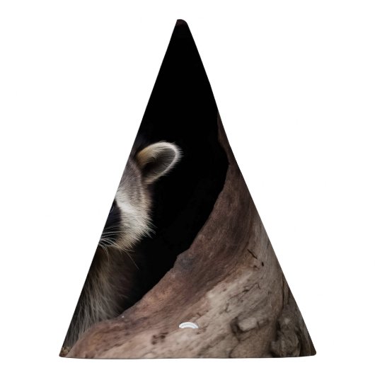 Racoon in boomgrot feesthoedjes (Rechts)