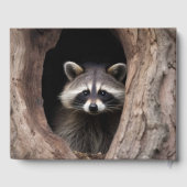 Racoon in boomgrot gastenboek (Achterkant)